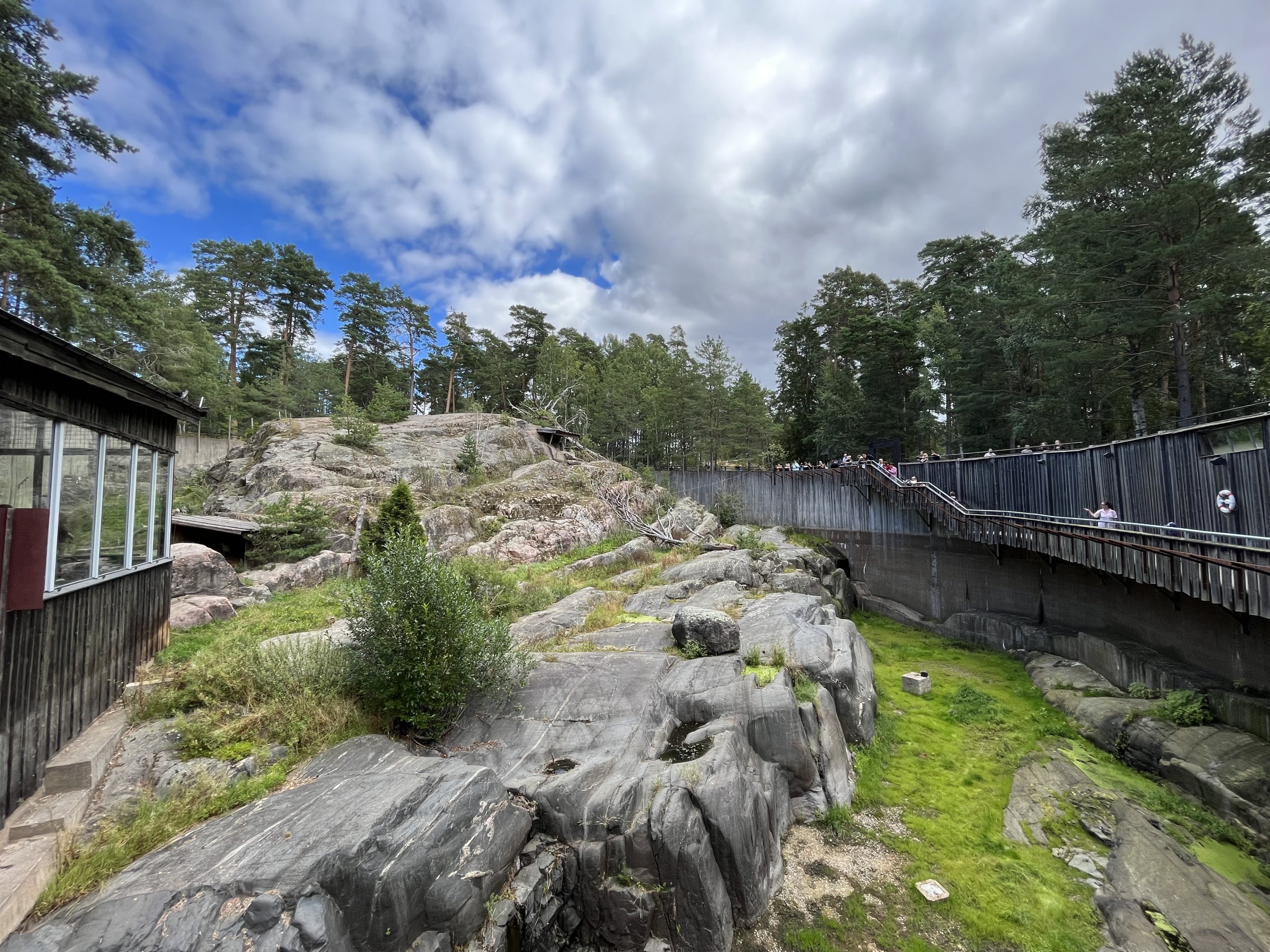 Snow Leopard Exhibit