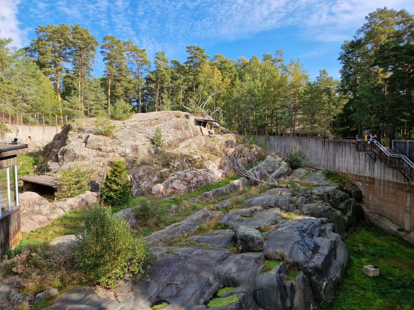 Snow leopard exhibit