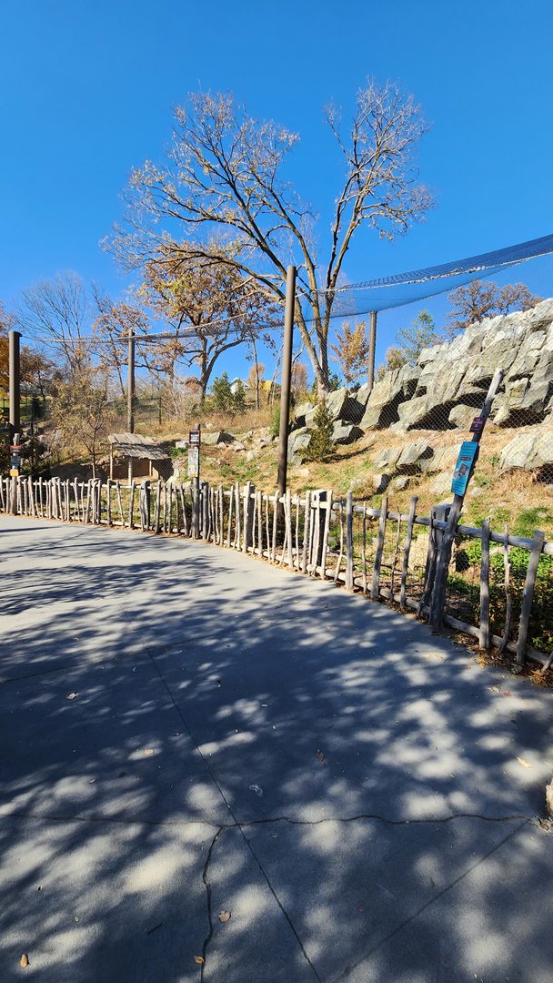 Snow Leopard Exhibit