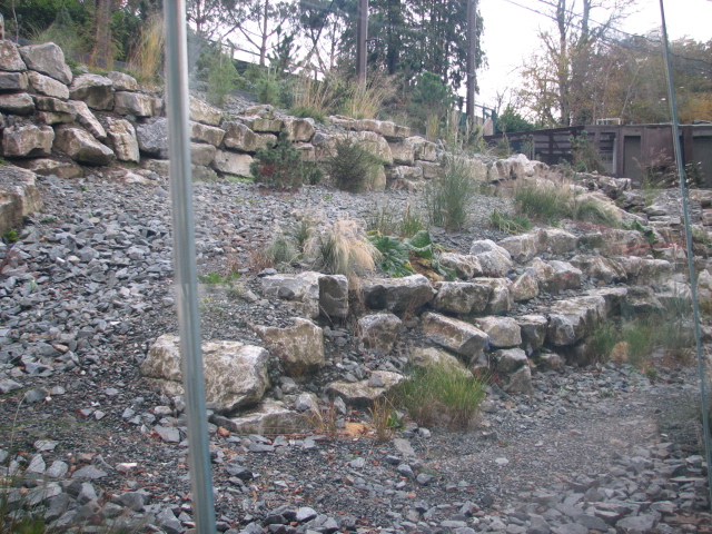 Snow leopard exhibit