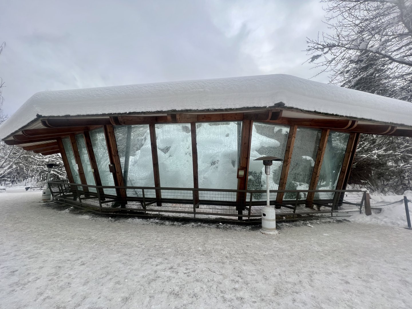 Snow Leopard Exhibit