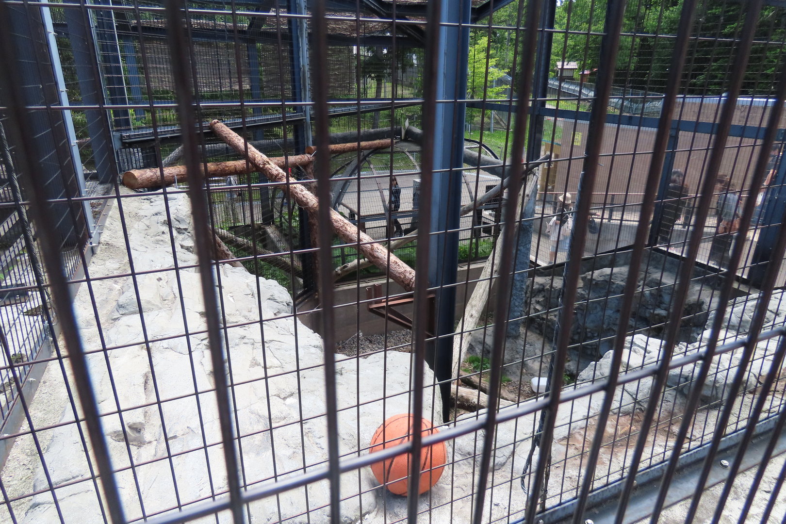 Snow leopard exhibit