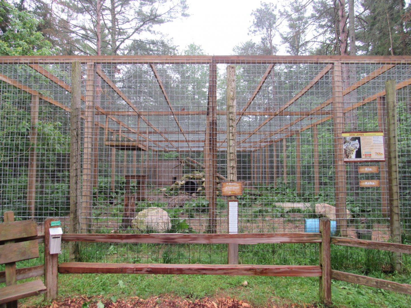 Snow Leopard Exhibit