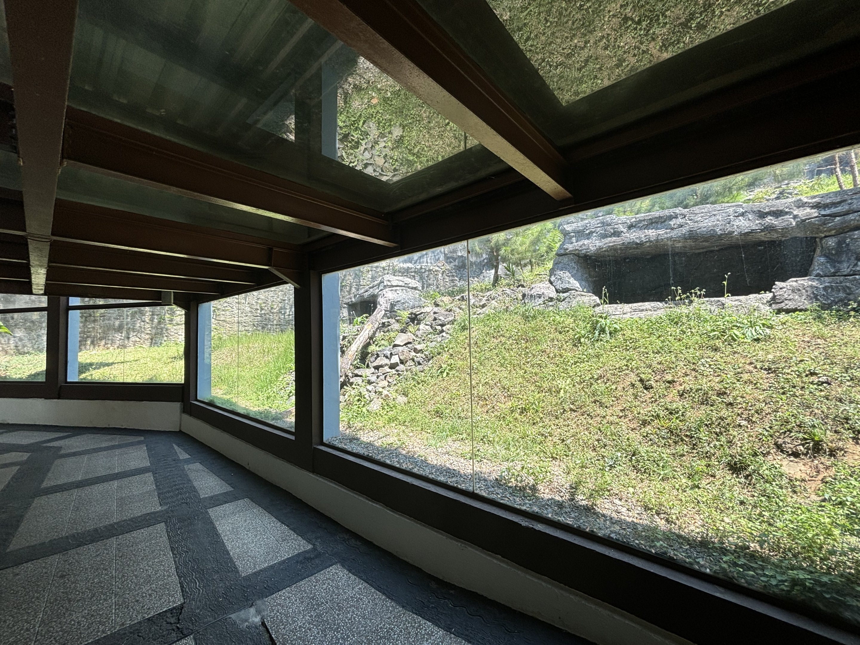 Snow Leopard Exhibit