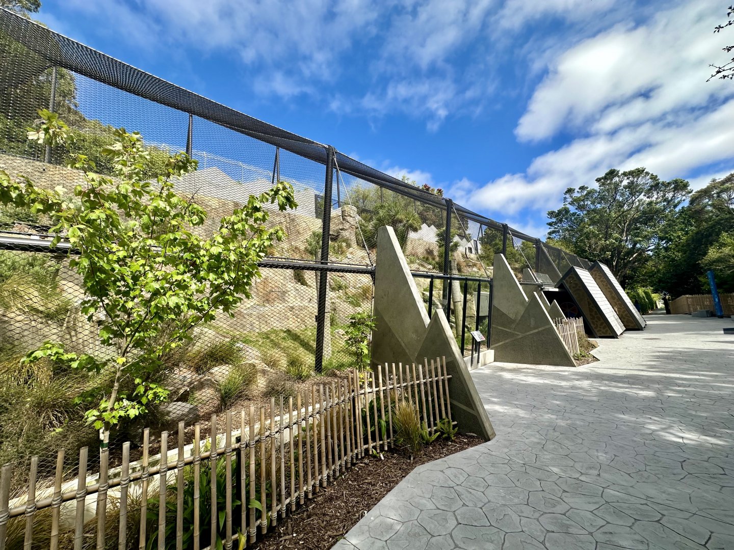 Snow Leopard Exhibit