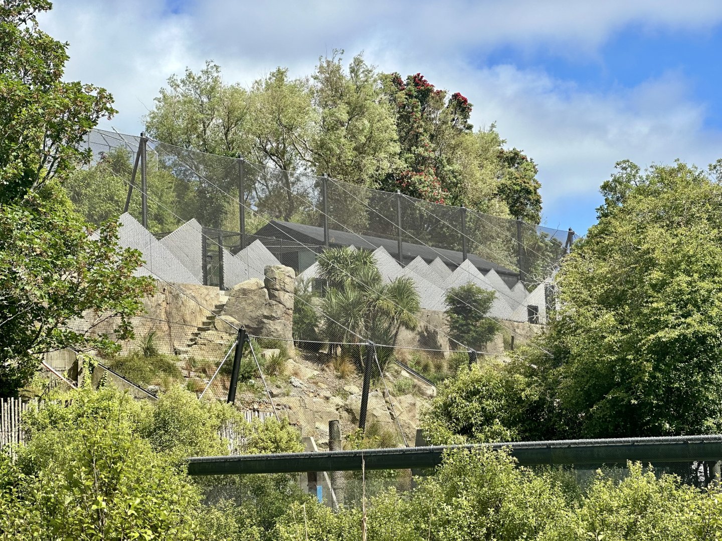 Snow Leopard Exhibit