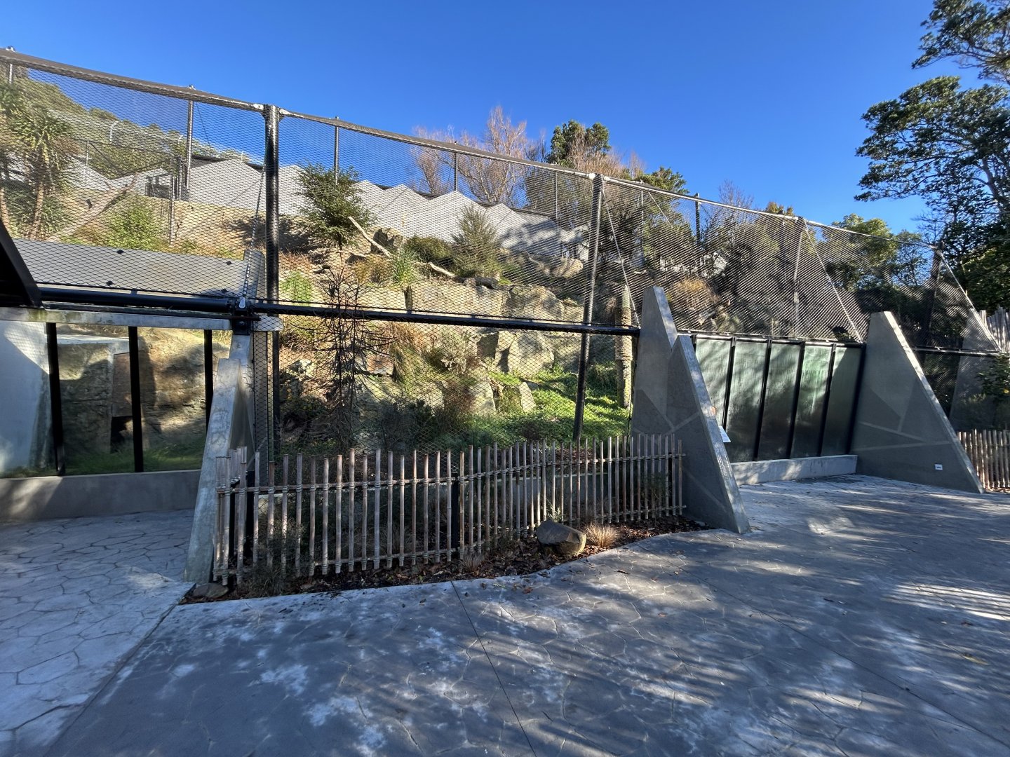 Snow Leopard Exhibit