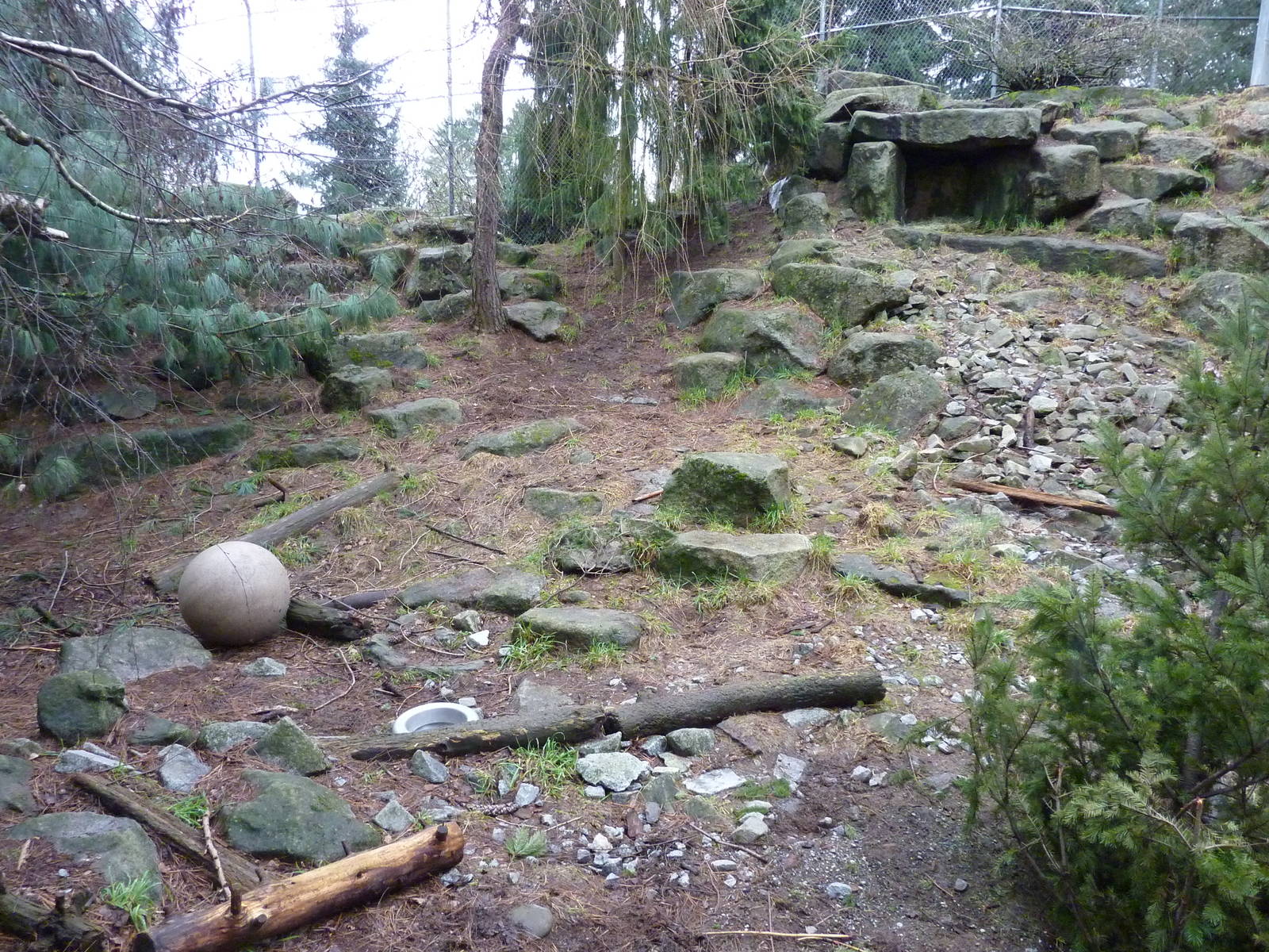 Snow Leopard Exhibit