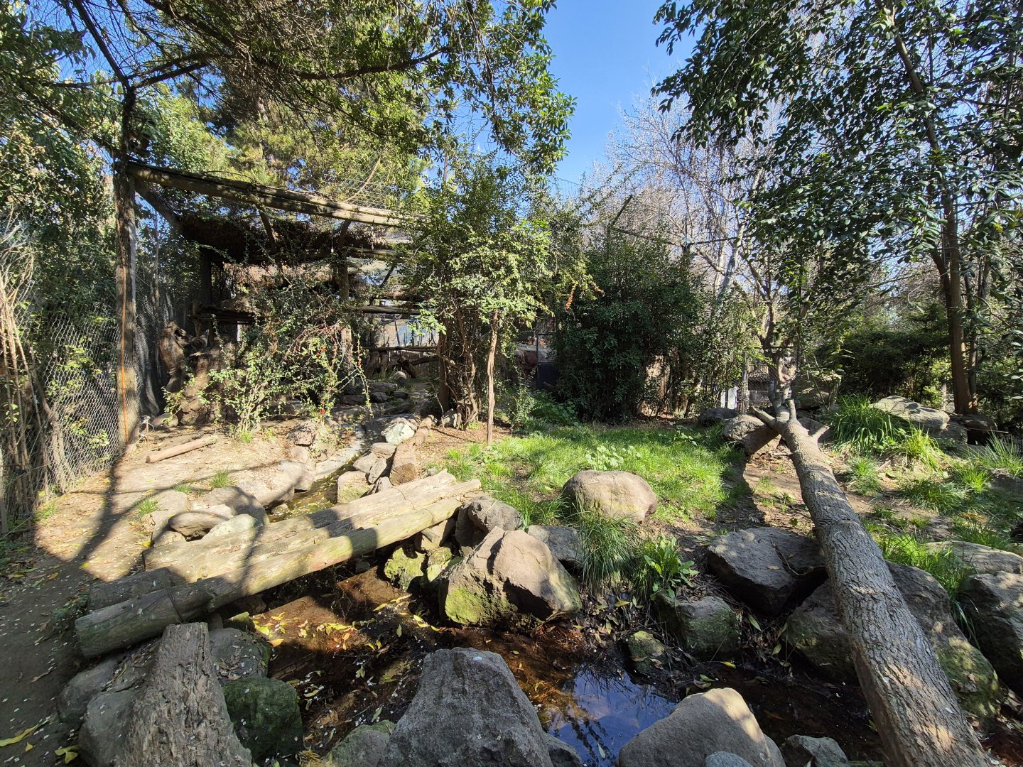 Snow Leopard exhibit