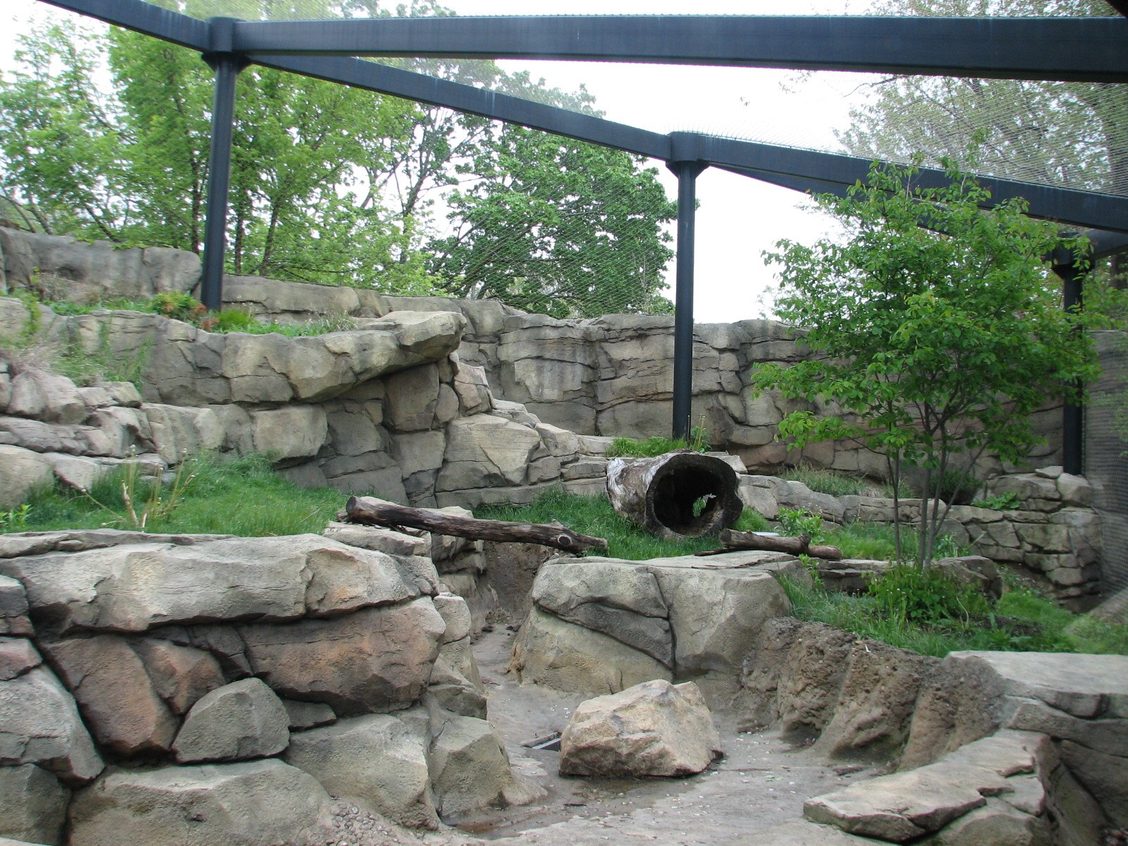 Snow Leopard Exhibit