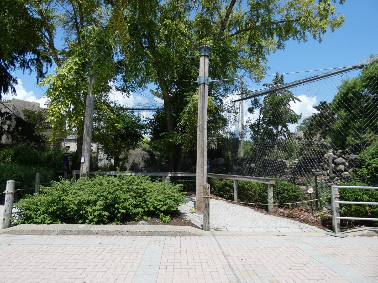 Snow Leopard Exhibits, Tiger Terrance - July 2021