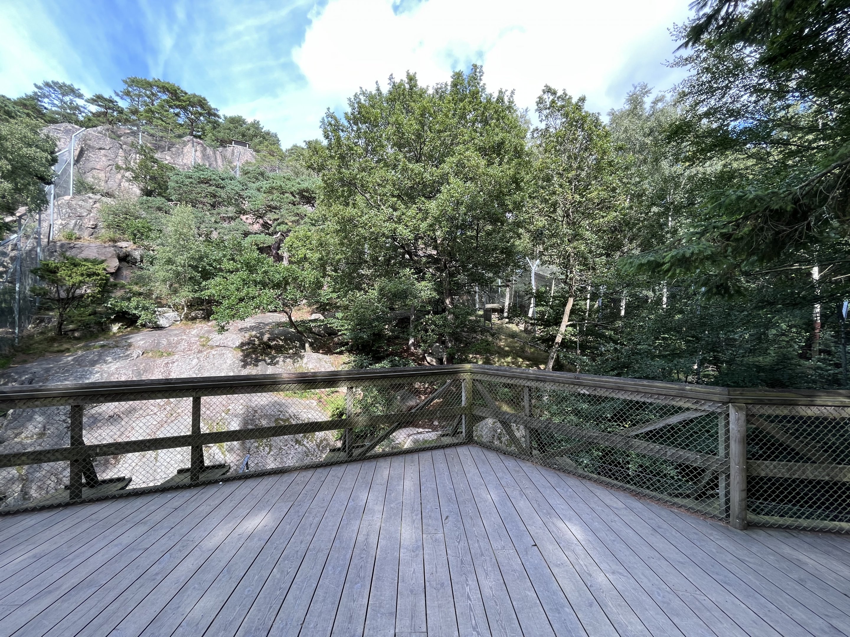 Snow Leopard Exhibits