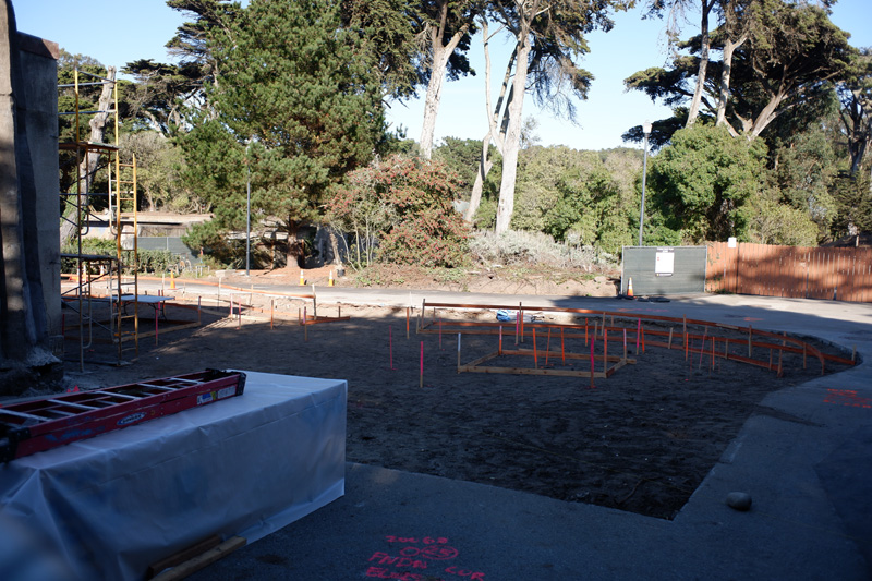 snow leopard expansion (2020)