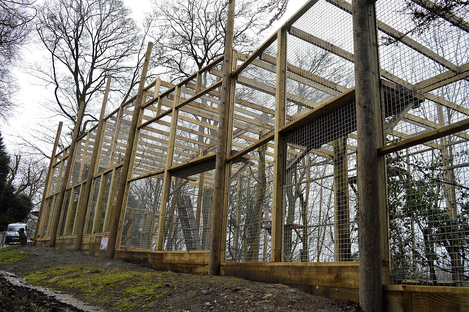 Snow leopard extension under construction.