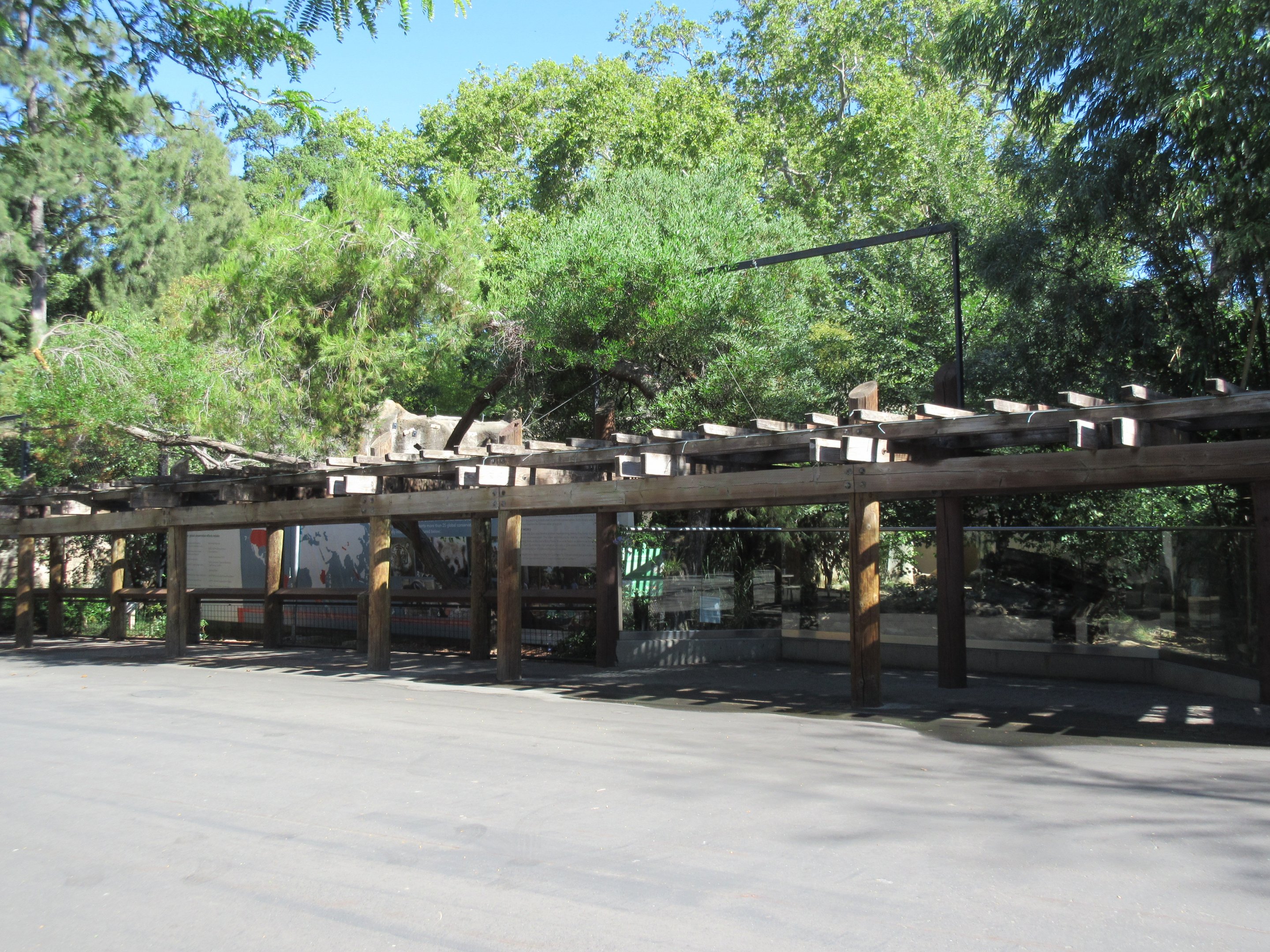 Snow Leopard + Giant Anteater Exhibits