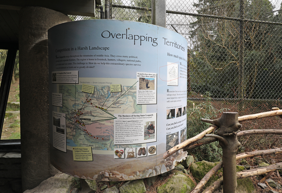 snow leopard graphics