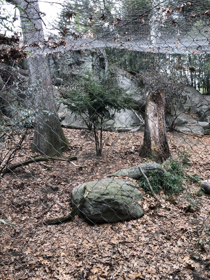 Snow Leopard Habitat - Feb, 2020