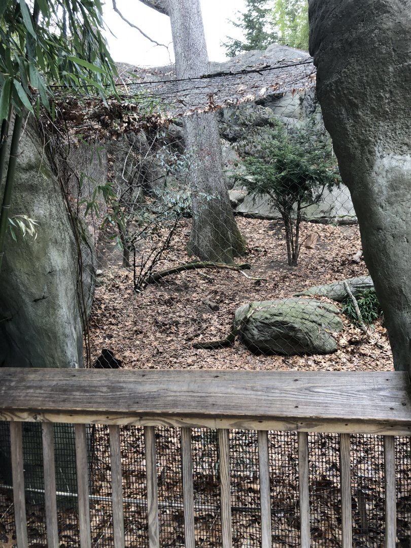 Snow Leopard Habitat Viewing Area - Feb, 2020