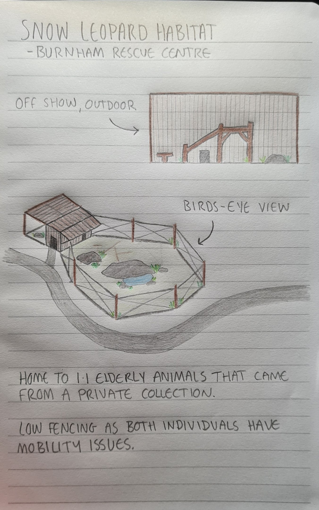 Snow Leopard Habitat