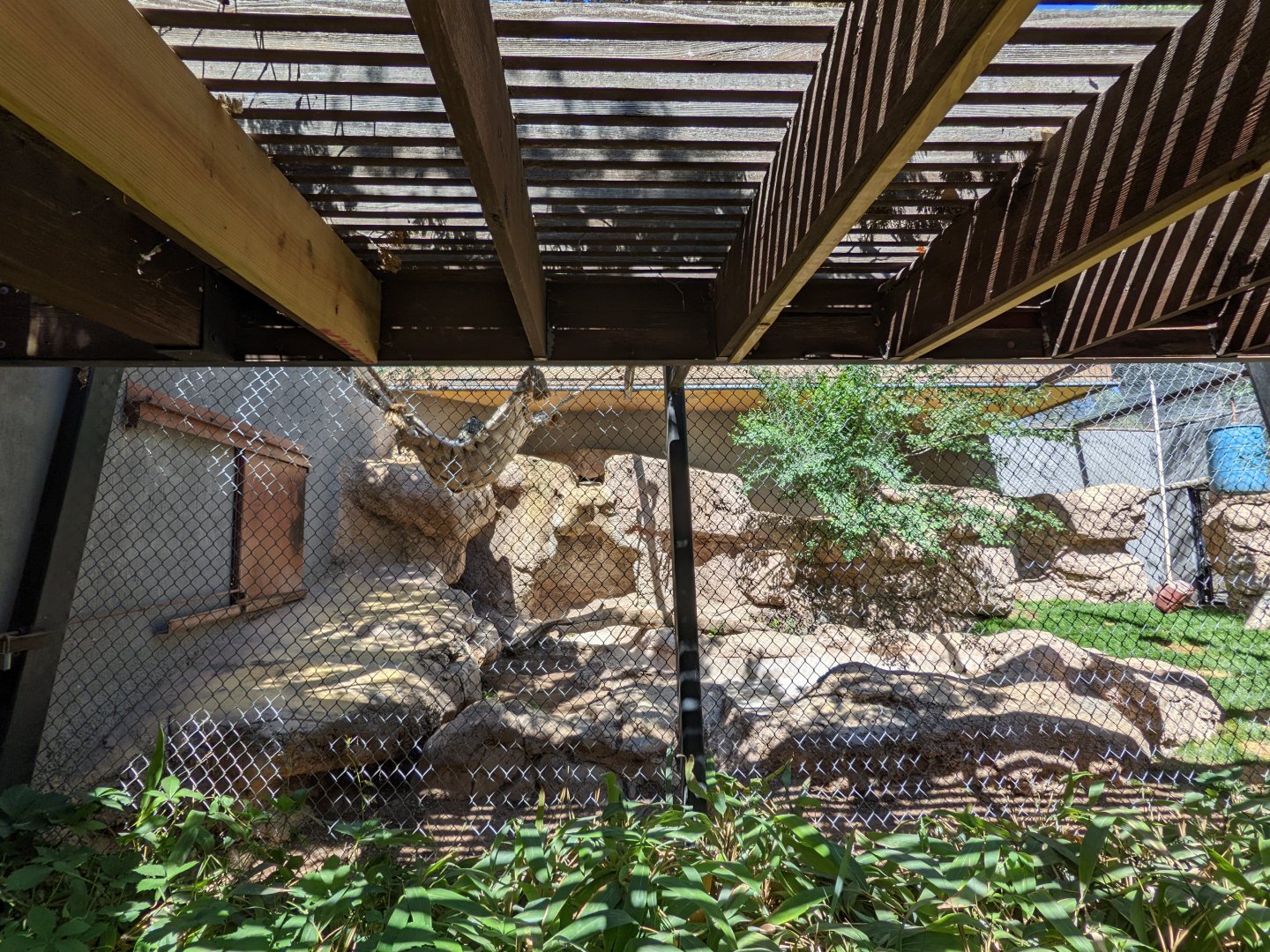 Snow leopard habitat