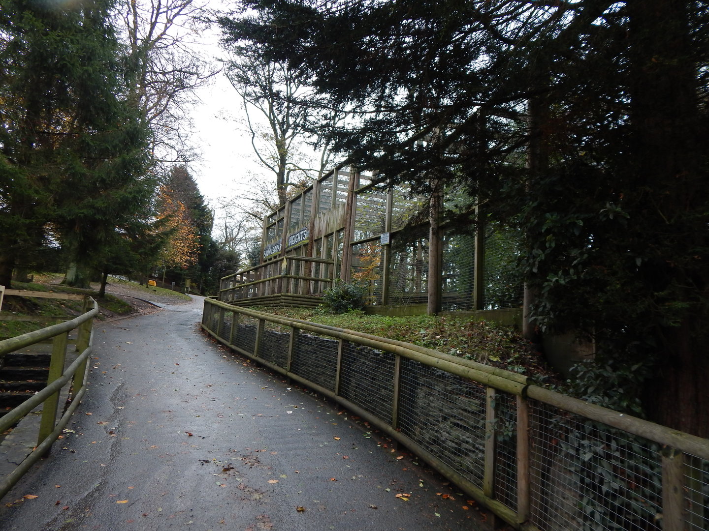 Snow Leopard Heights 241122