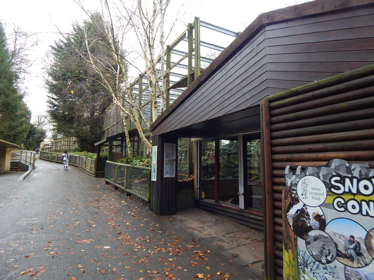 Snow Leopard Heights 241122