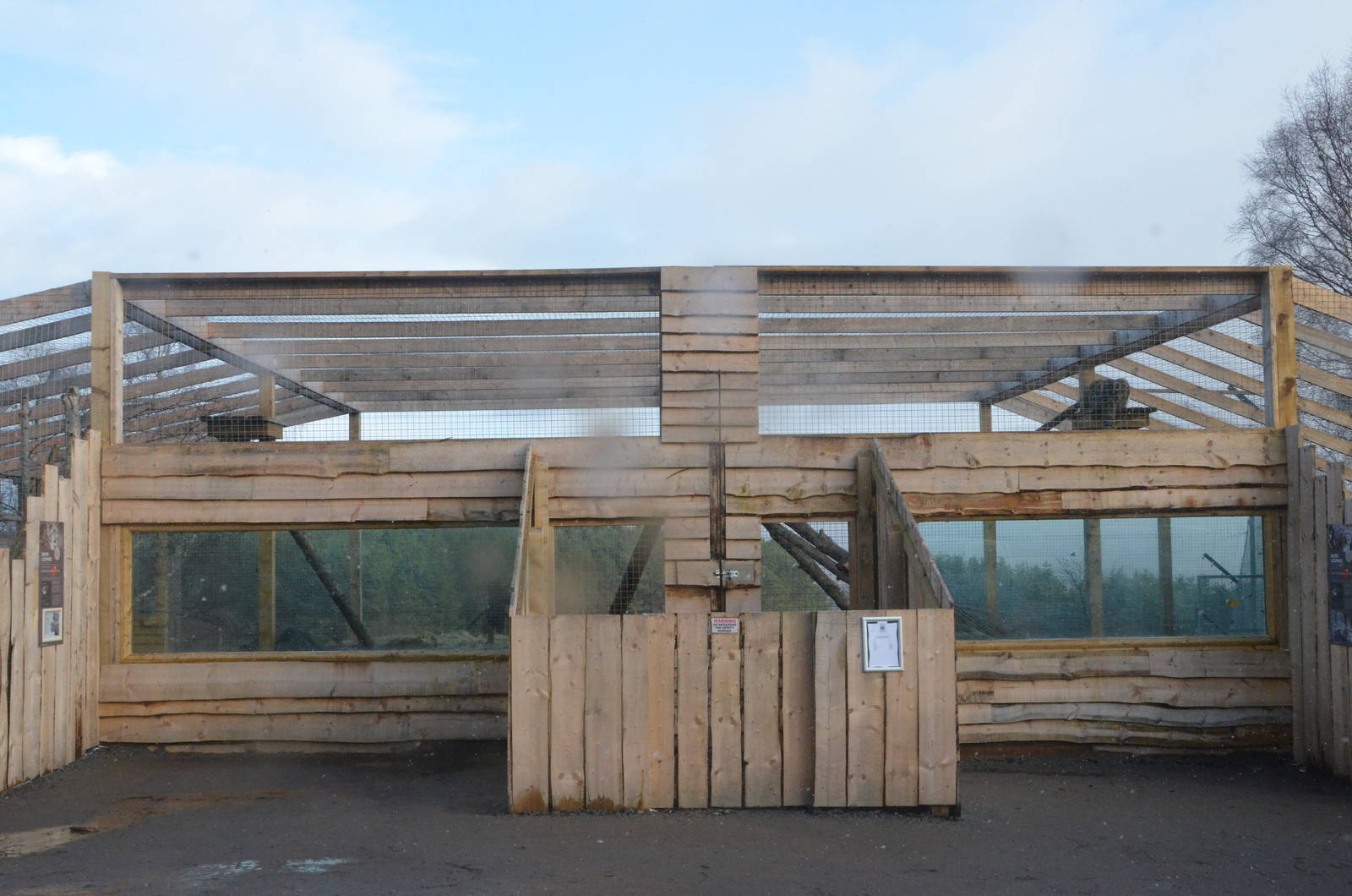 Snow Leopard Holding Area at Highland WP, 10/02/16