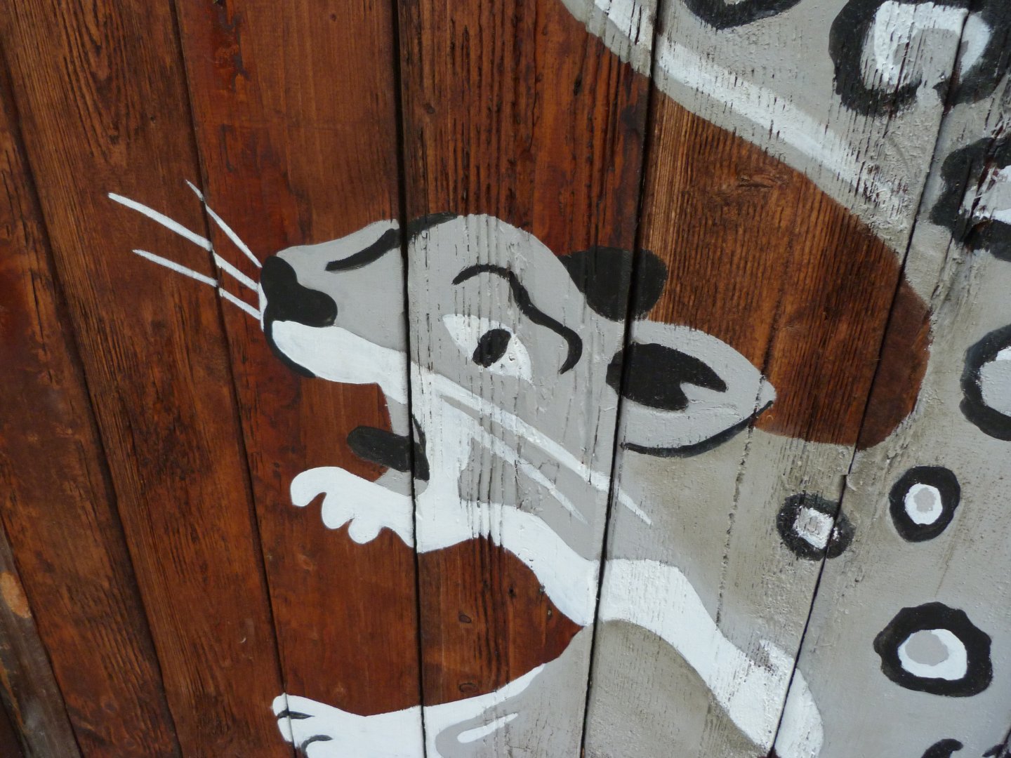 Snow leopard illustration -Tierpark Berlin (2024)