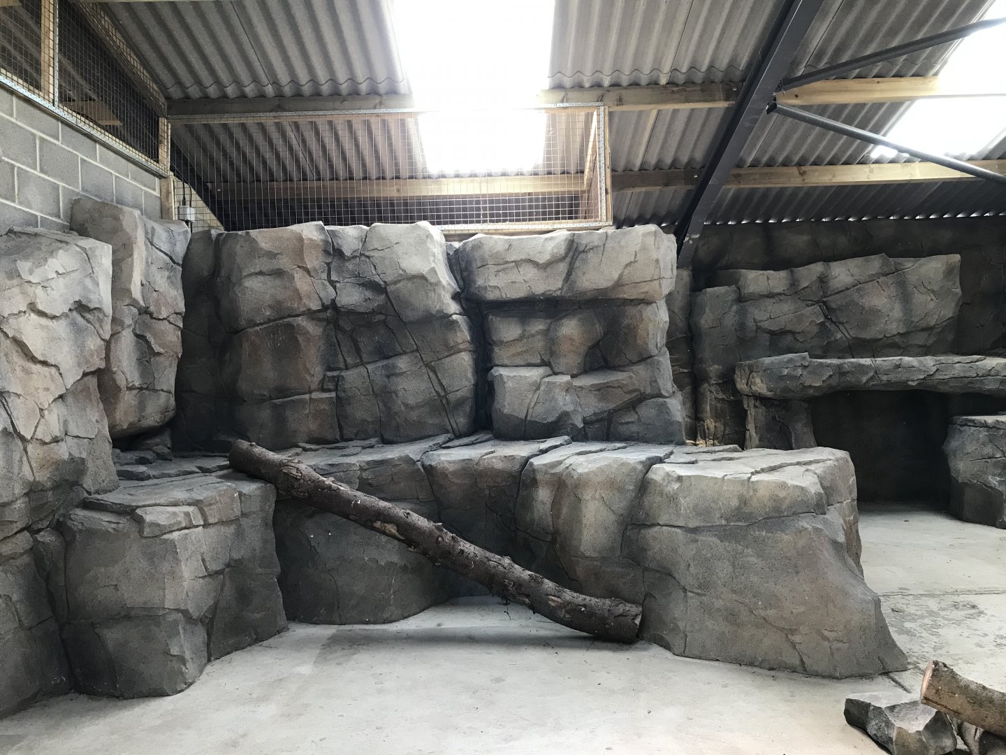 Snow Leopard Indoor Area