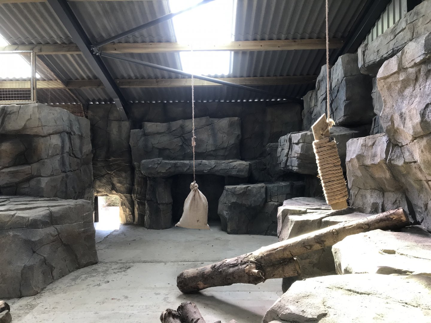 Snow Leopard Indoor Area