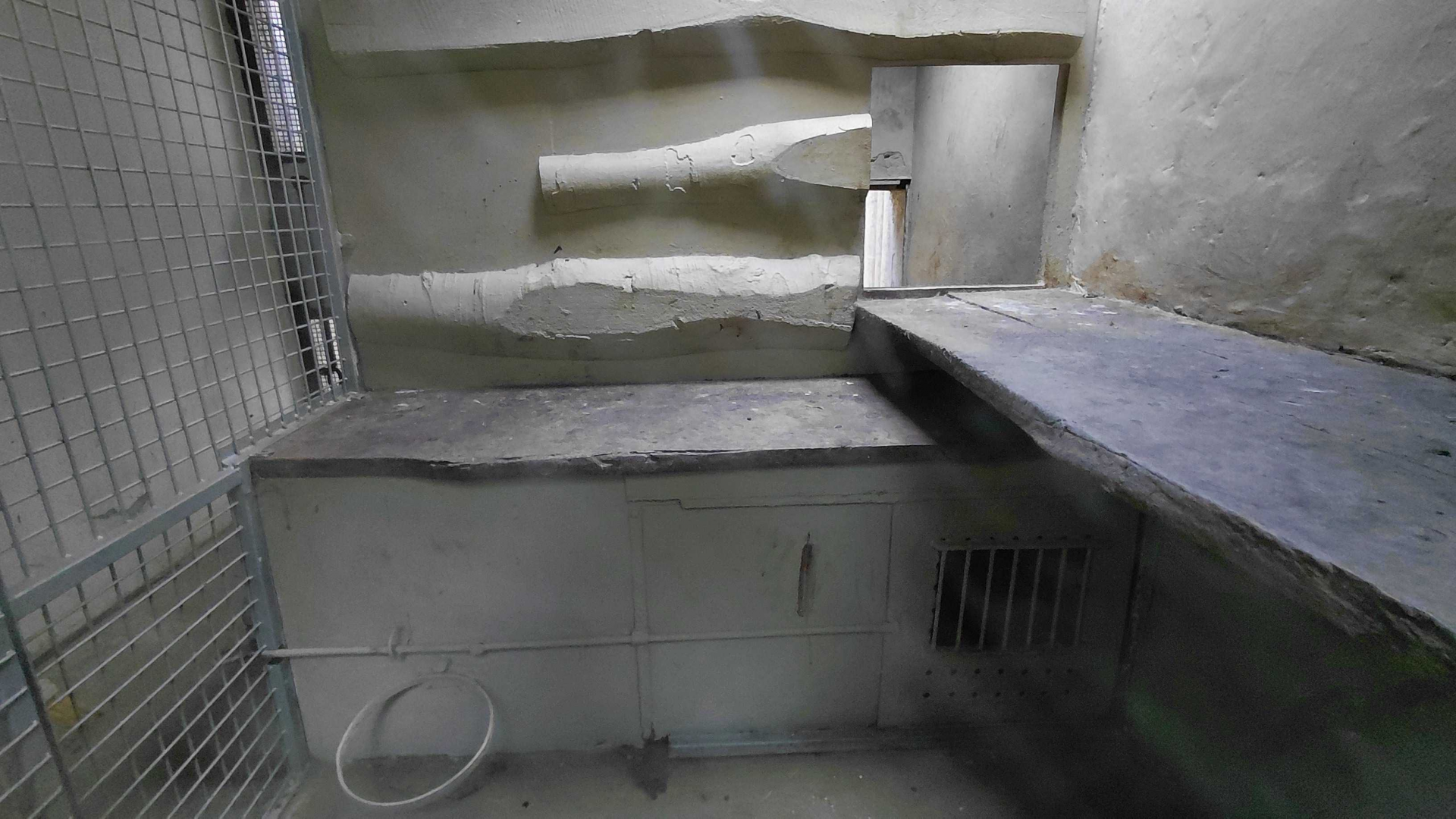 Snow leopard indoor exhibit #1