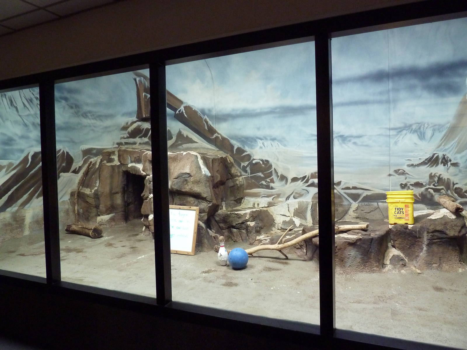 Snow Leopard Indoor Exhibit