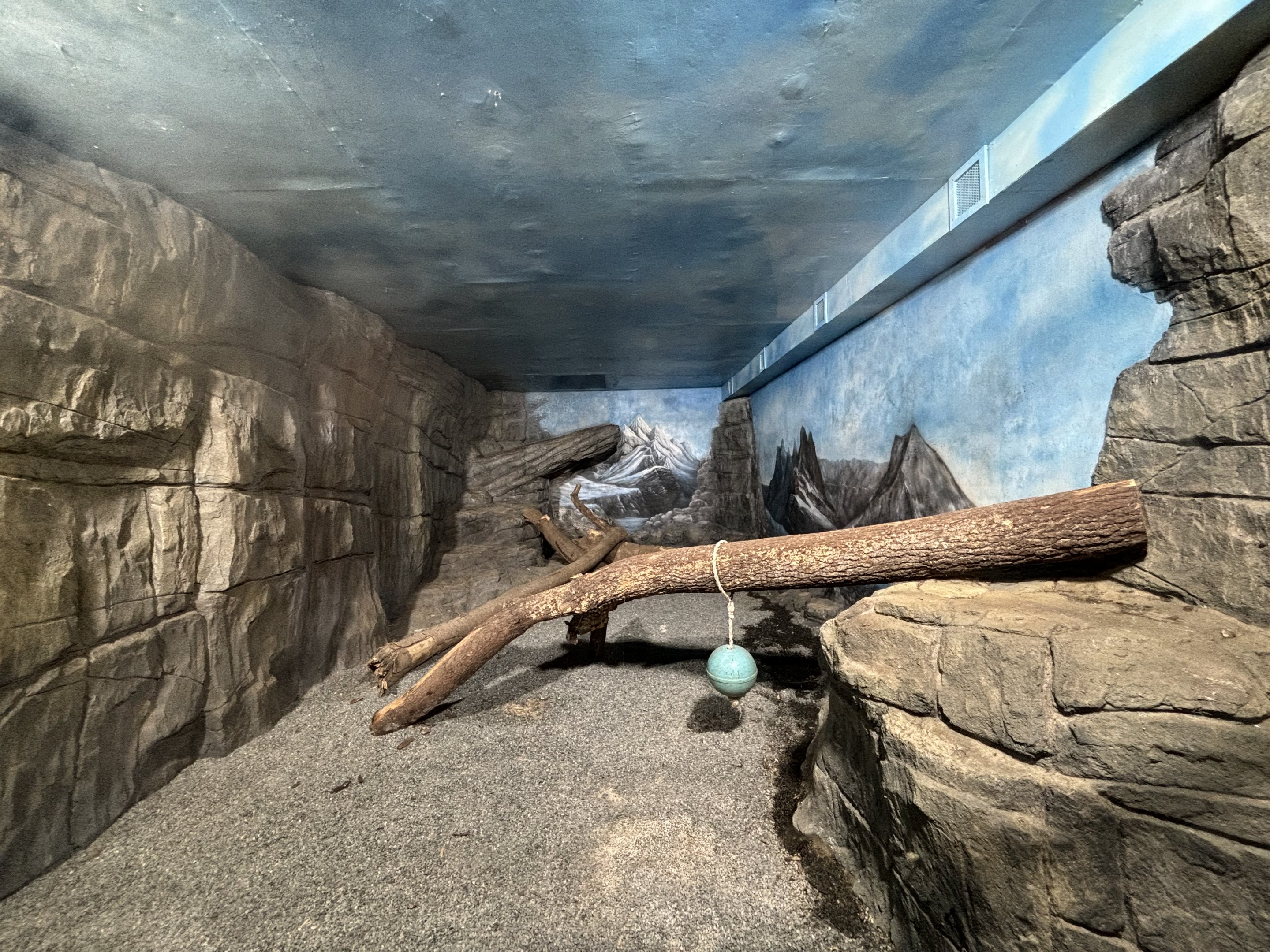 Snow Leopard Indoor Exhibit