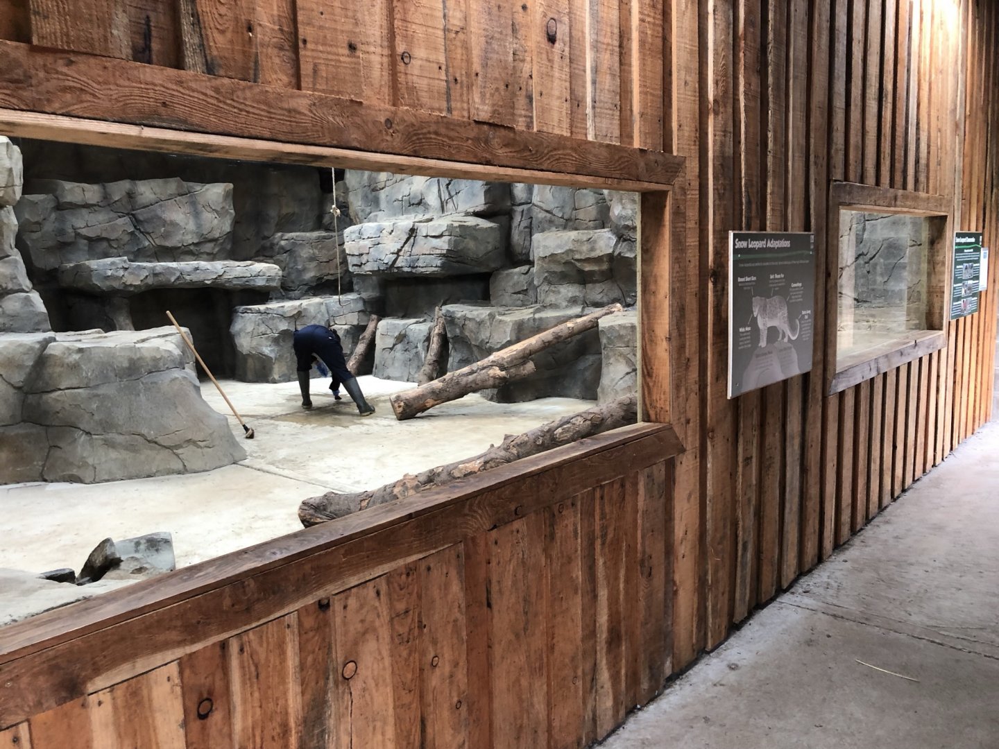 Snow Leopard Indoor Viewing Area at Northumberland Country Zoo (September 2021)