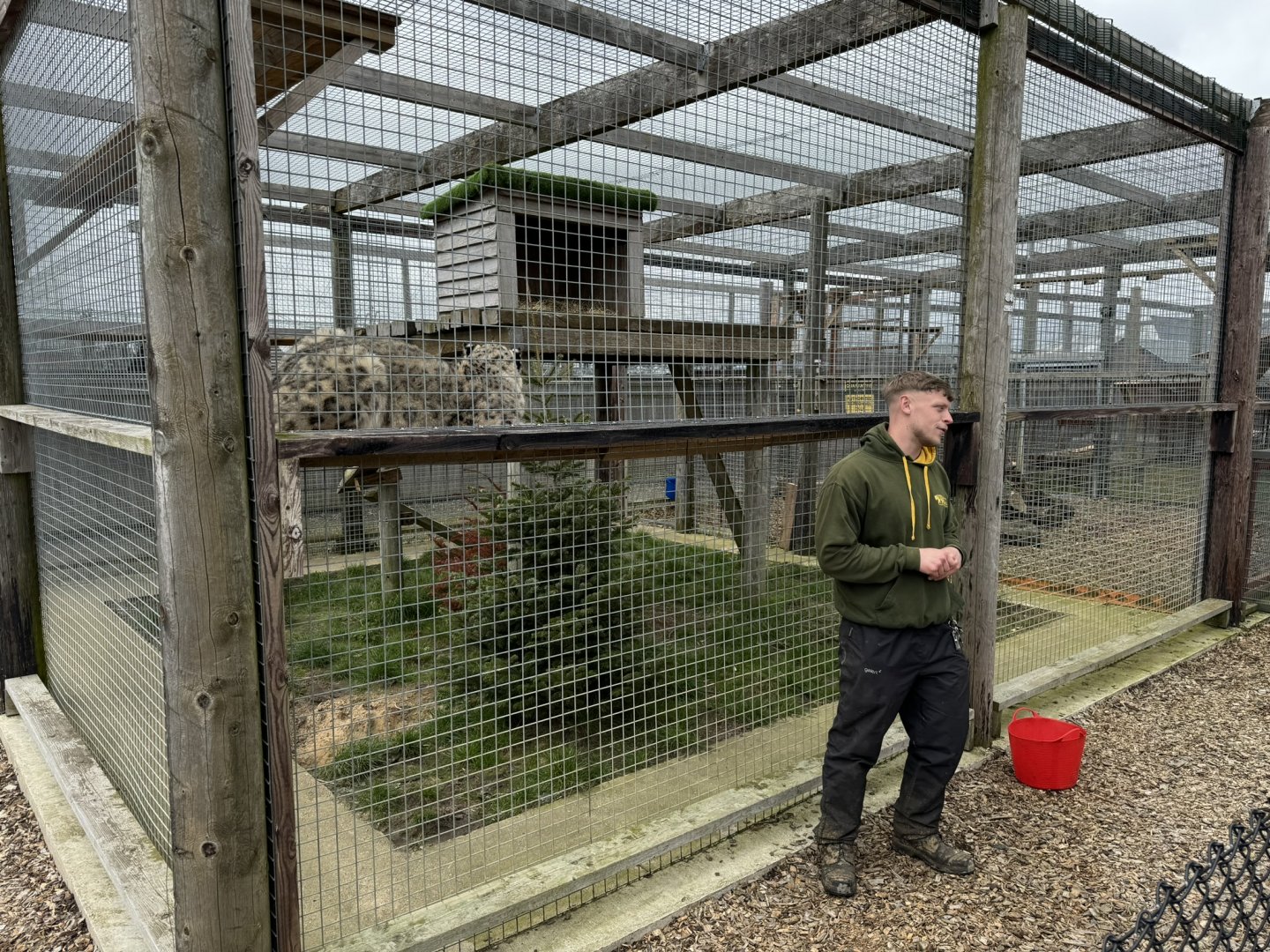 Snow Leopard Keeper Talk at Wolds Wildlife Park (March 2024)