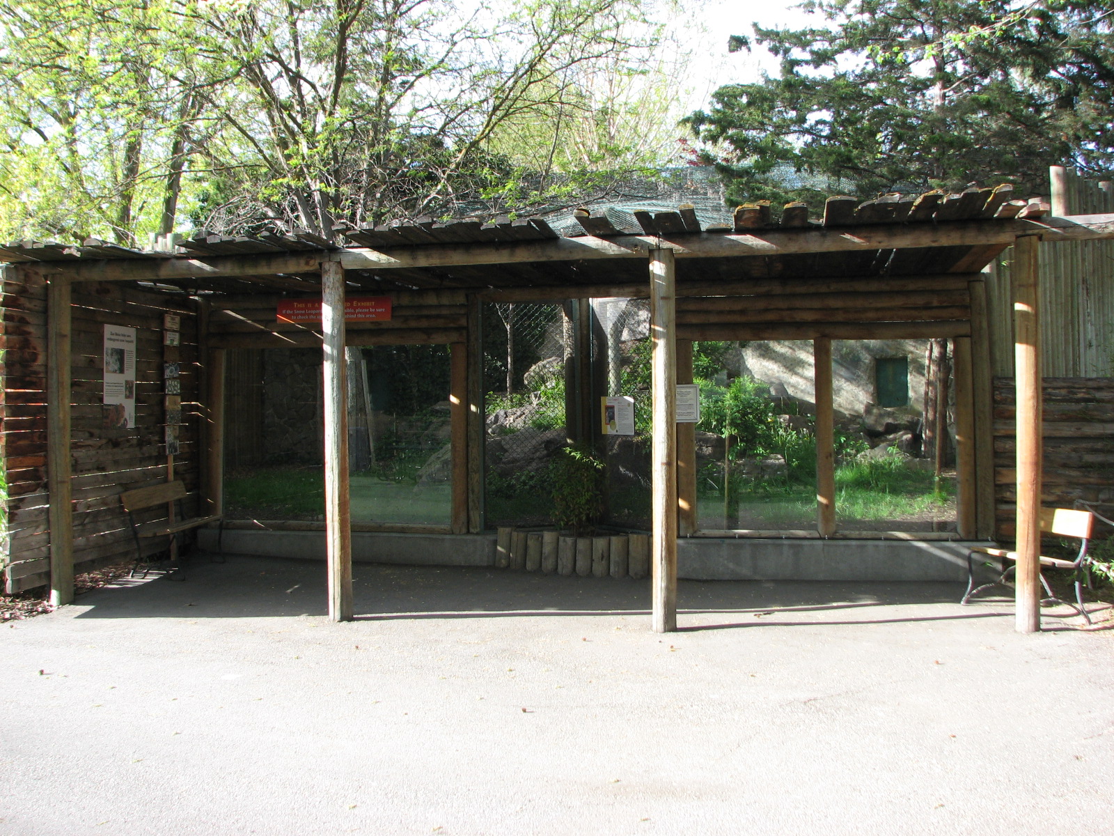 Snow Leopard Lower Exhibit