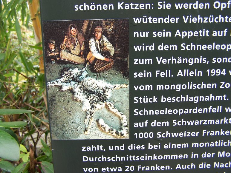 snow leopard panel 2