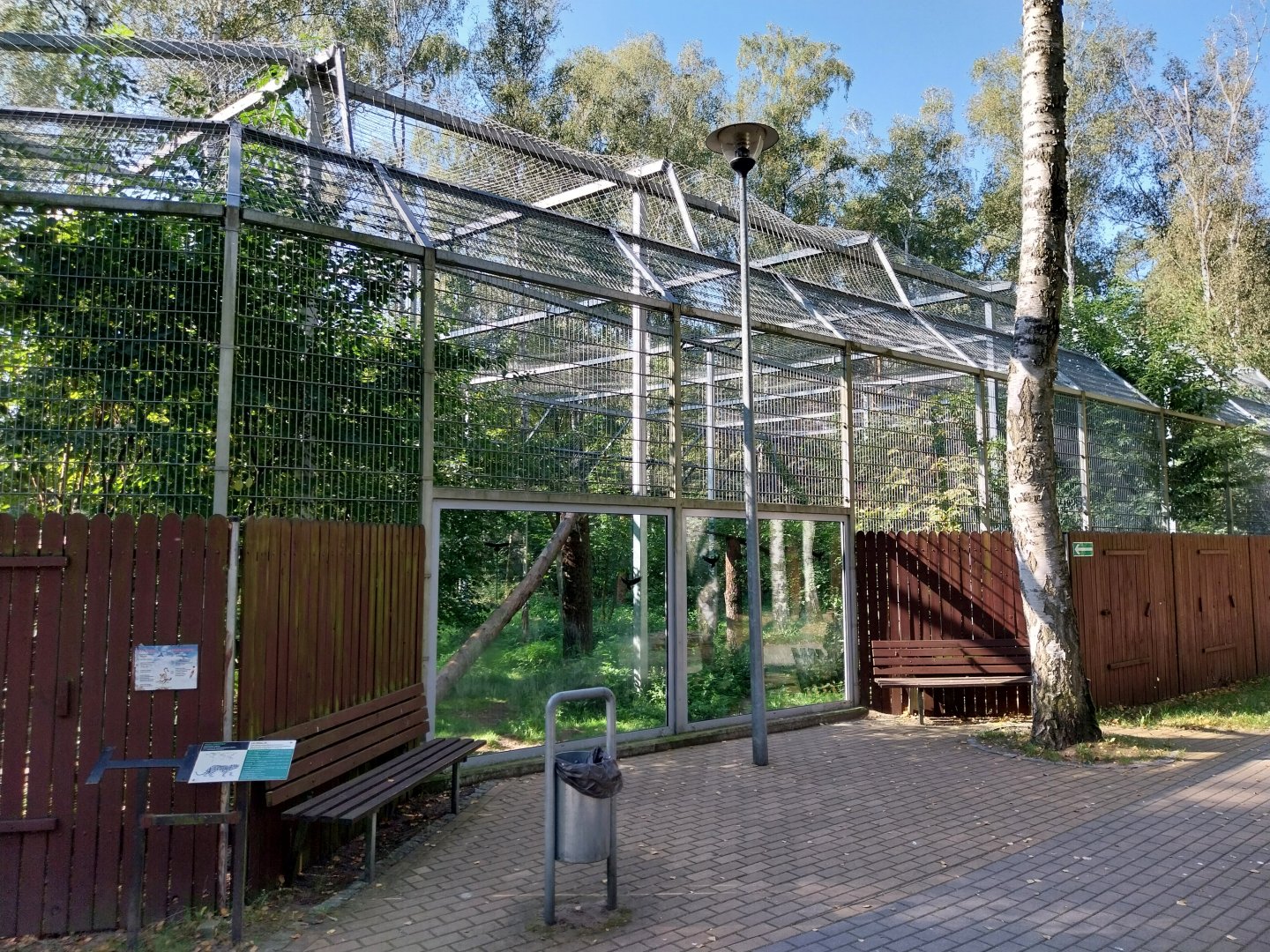 Snow Leopard (Panthera uncia)