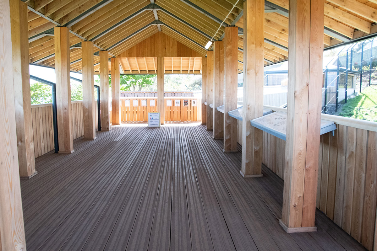 Snow leopard platform