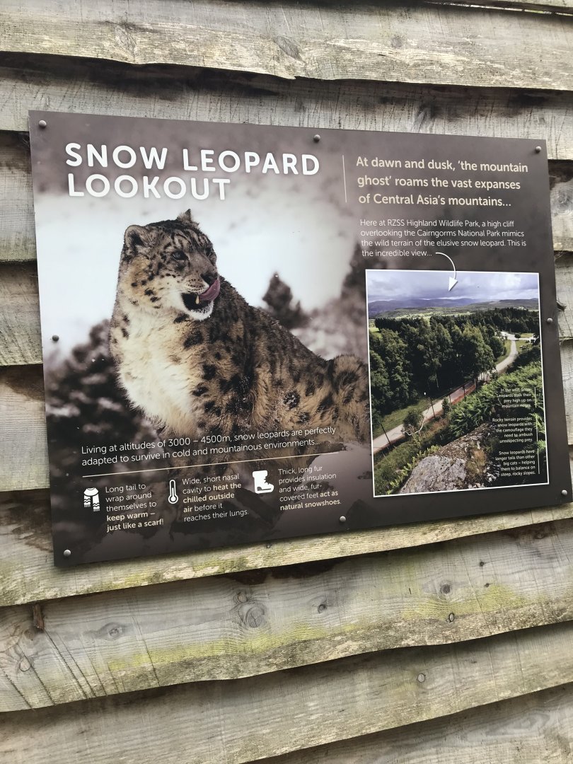 Snow leopard sign