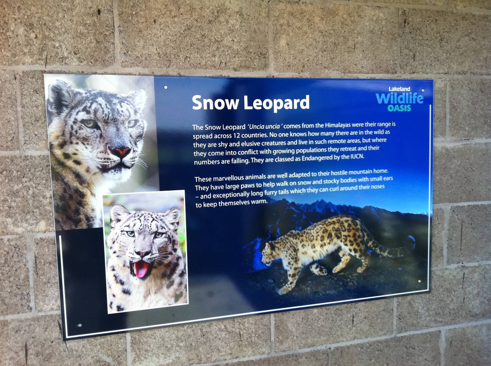 Snow Leopard Signage - 24th April 2011