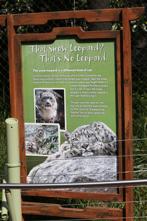 Snow leopard signage