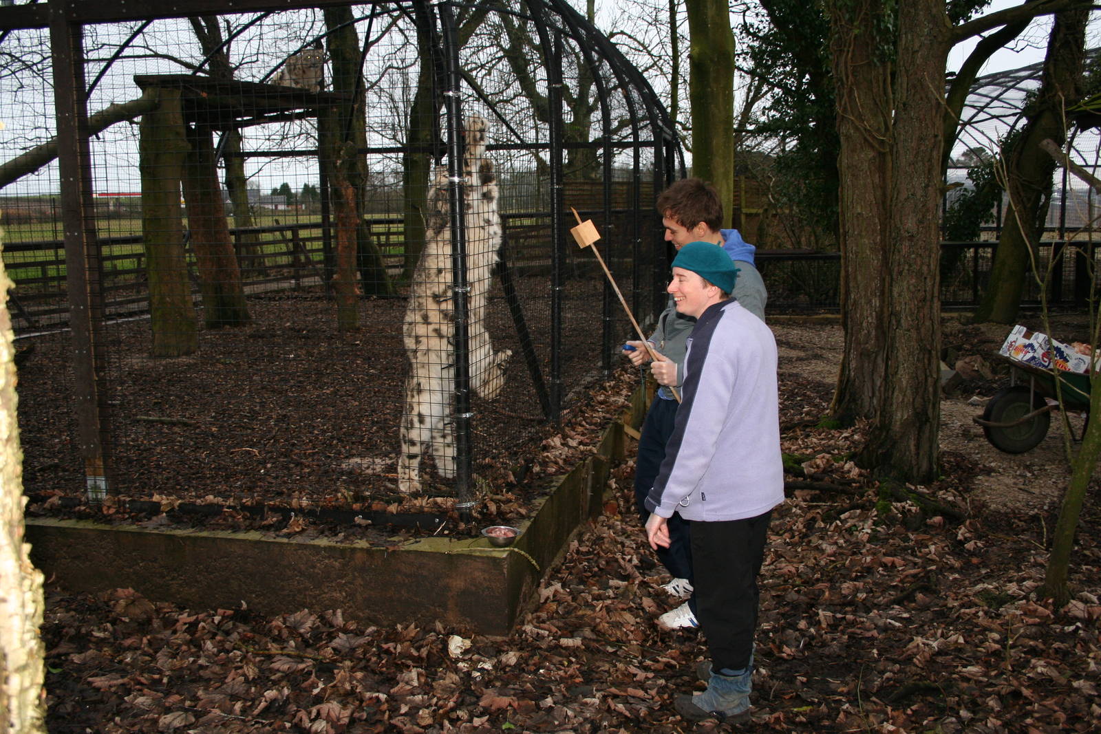 Snow leopard target training