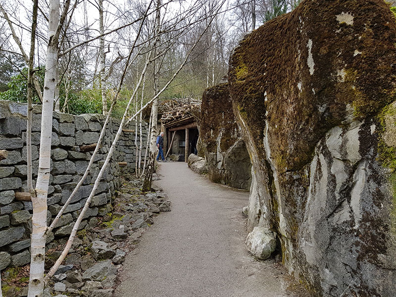 Snow leopard theming