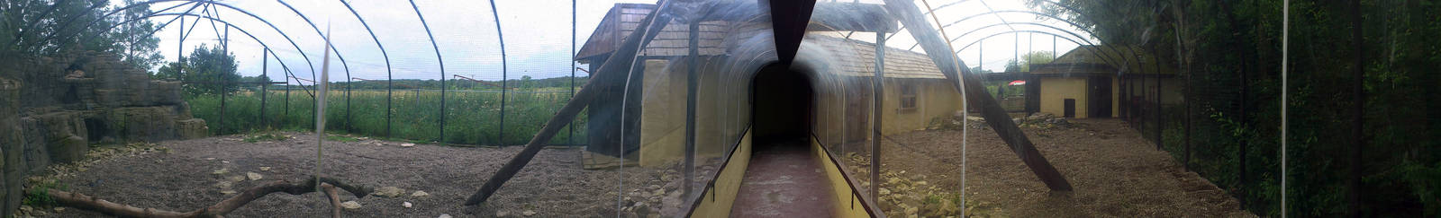 Snow Leopard Tunnel Panoramic