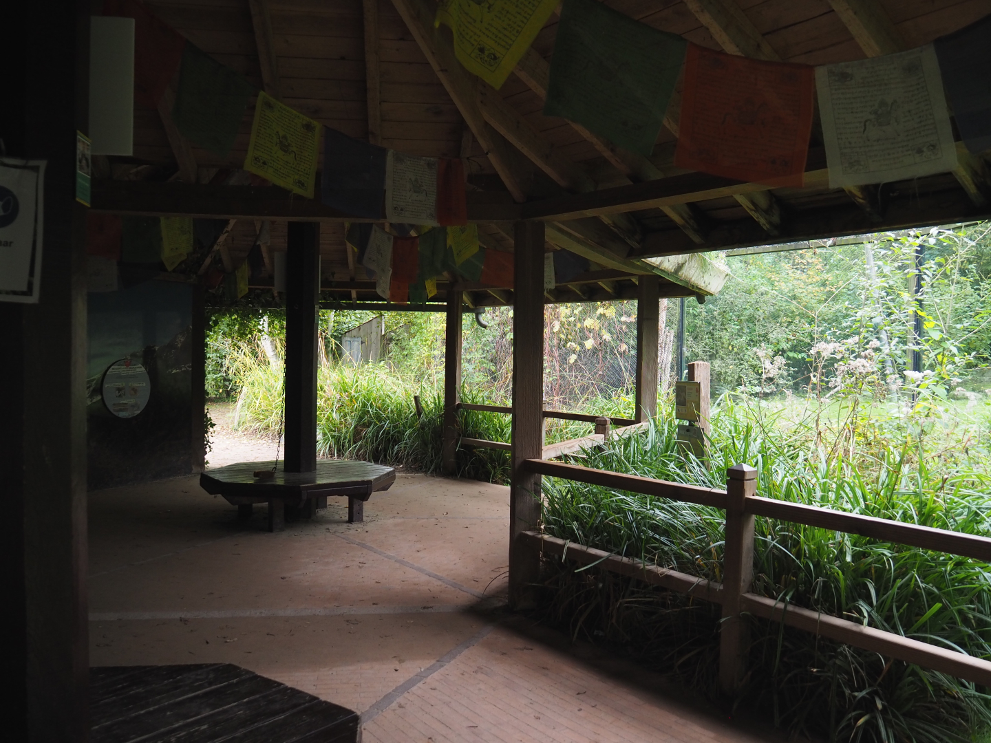 Snow leopard viewing area, 2020-10-19