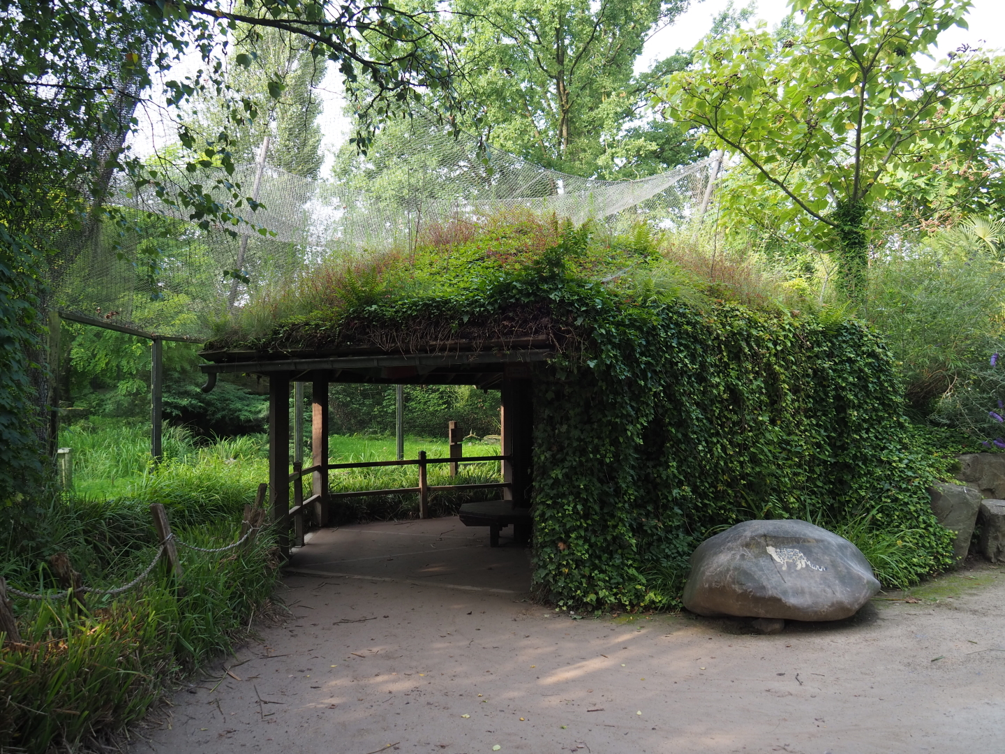 Snow leopard viewing area, 2021-07-20