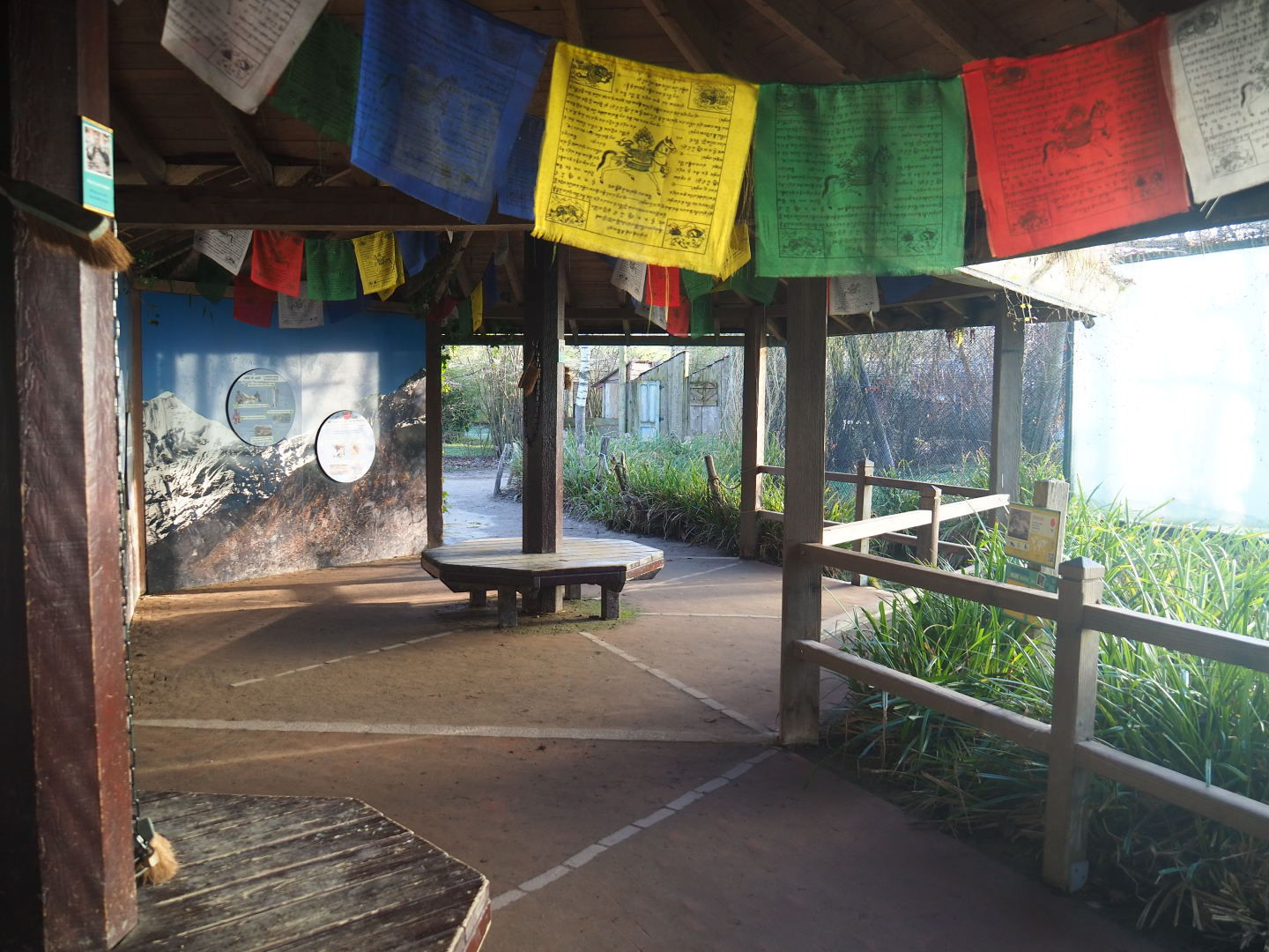 Snow leopard viewing area, 2022-02-12