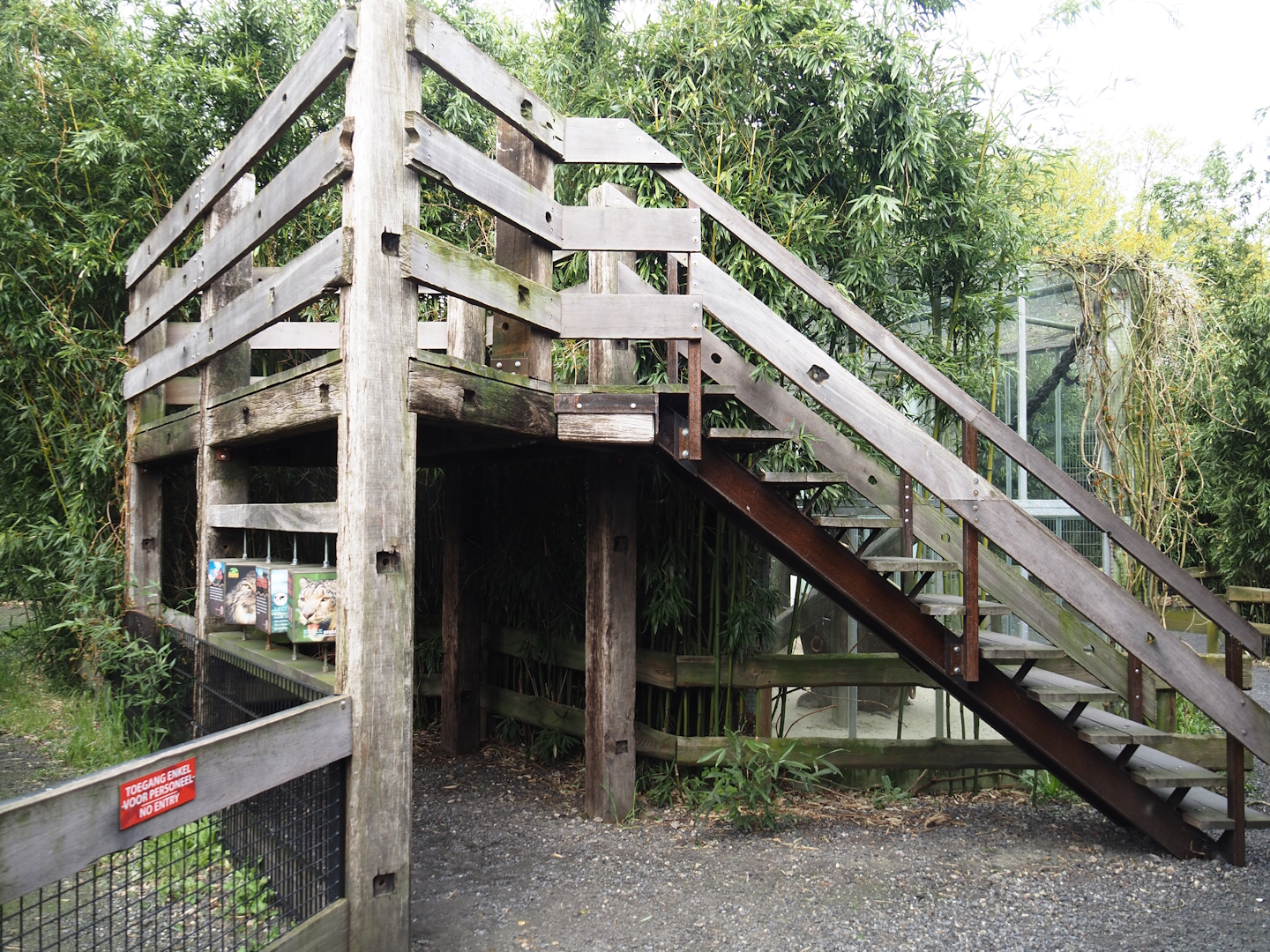 Snow leopard viewing area, 2024-04-14