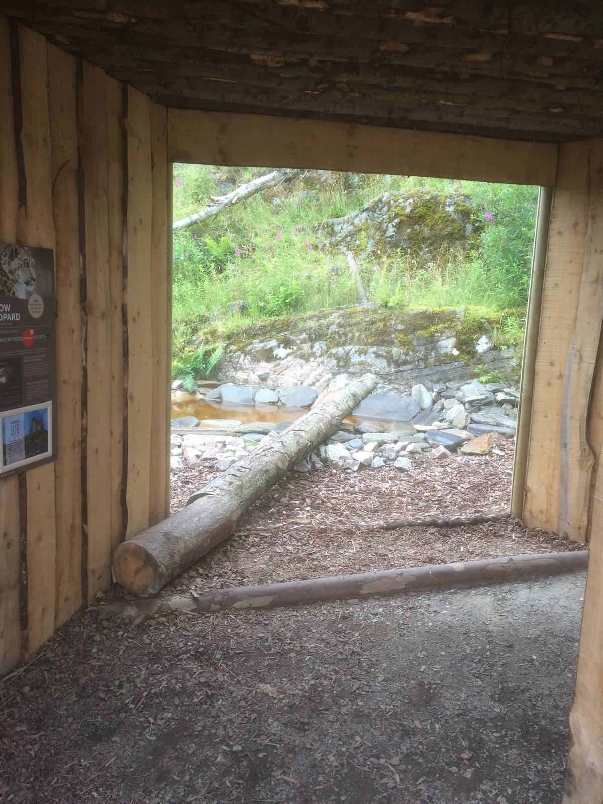 Snow leopard viewing area
